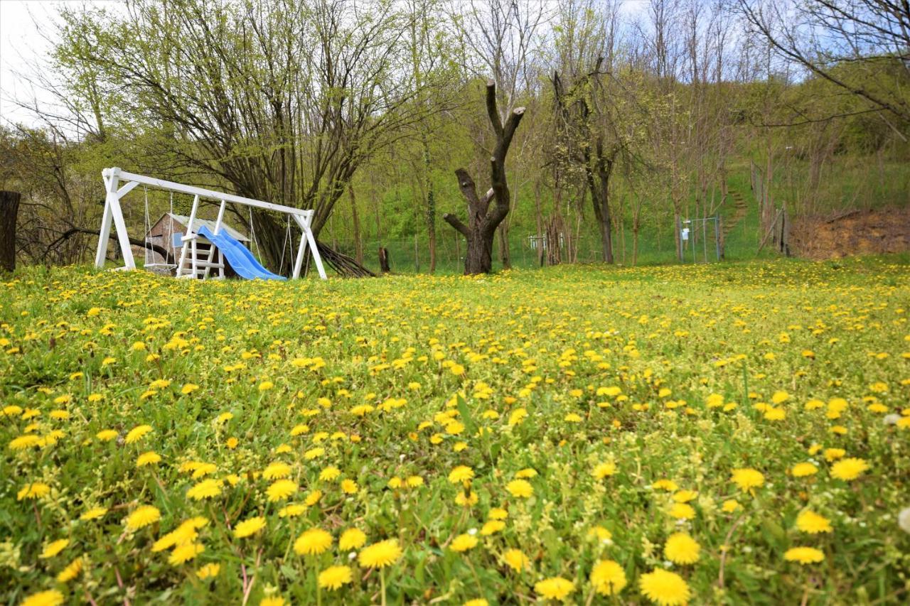 Cerevic Honey Hill Apartment Fruska Gora מראה חיצוני תמונה