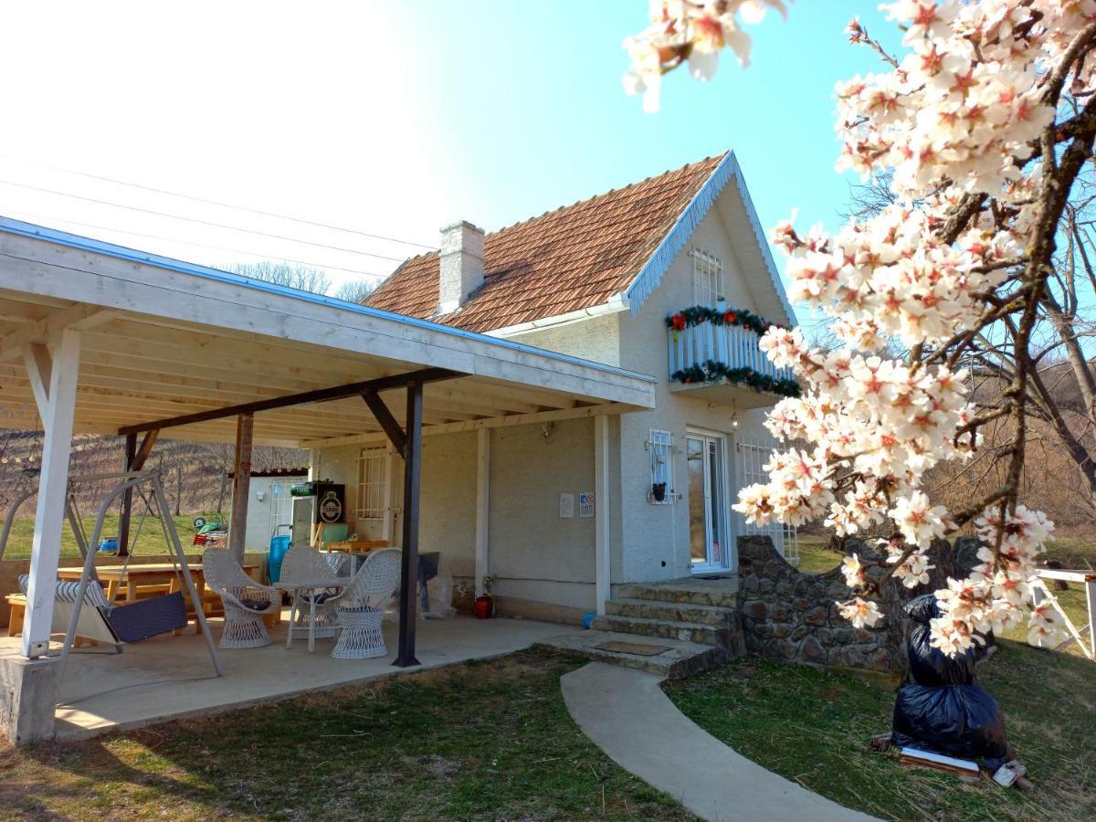 Cerevic Honey Hill Apartment Fruska Gora מראה חיצוני תמונה