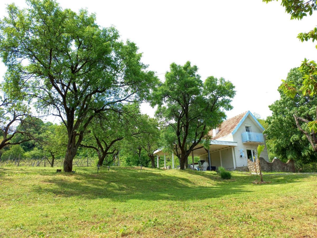 Cerevic Honey Hill Apartment Fruska Gora מראה חיצוני תמונה
