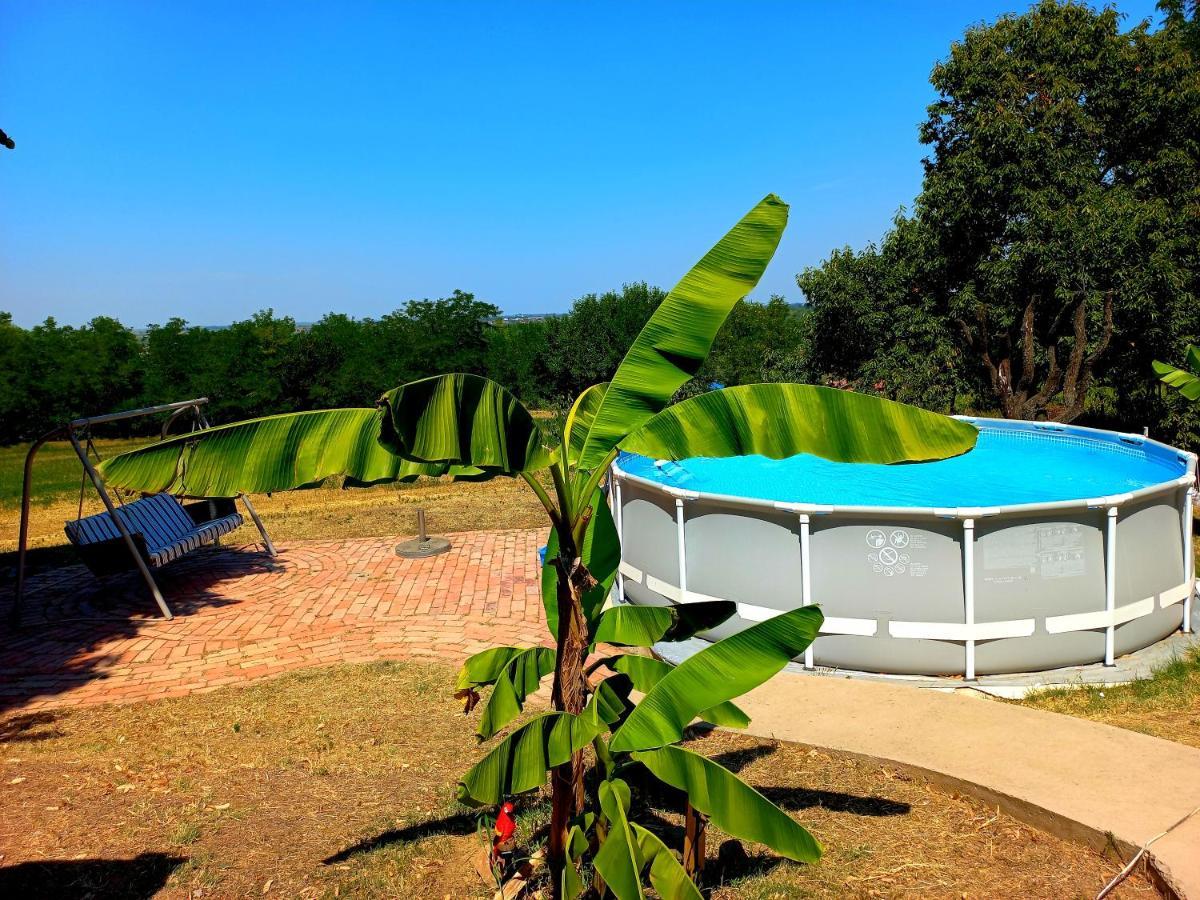 Cerevic Honey Hill Apartment Fruska Gora מראה חיצוני תמונה