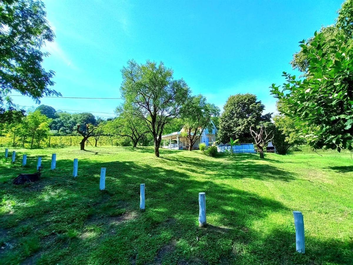 Cerevic Honey Hill Apartment Fruska Gora מראה חיצוני תמונה